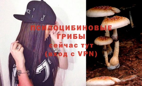 стафф Сясьстрой
