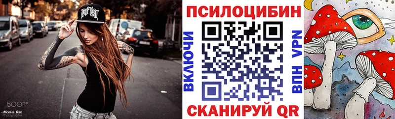 kraken ССЫЛКА магазин продажи Красково Галлюциногенные грибы Cubensis